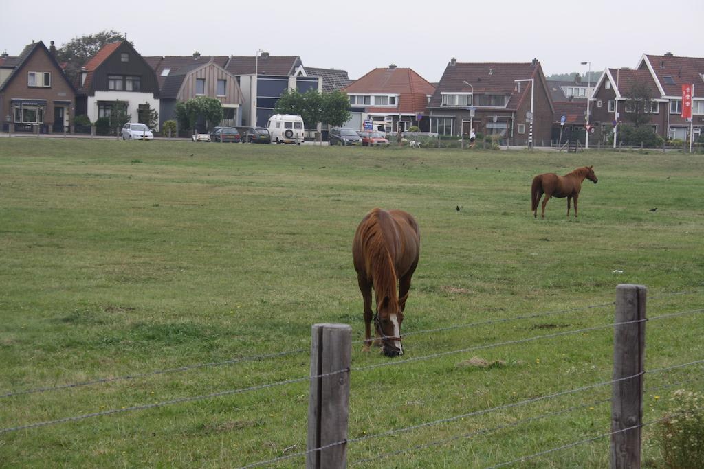 Villa 'T Haasduin Wijk aan Zee Zewnętrze zdjęcie