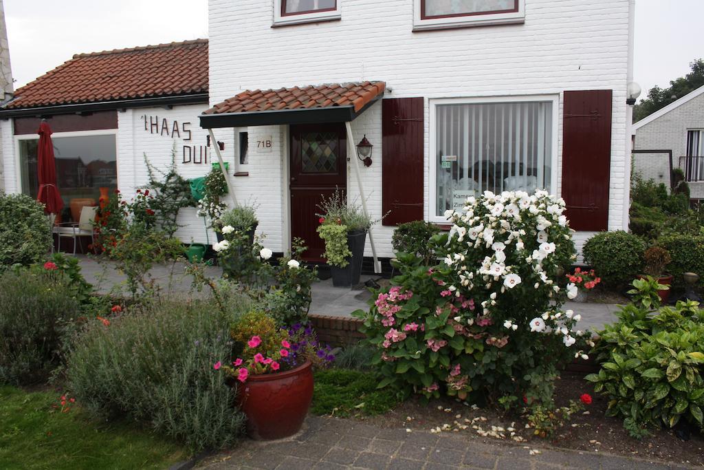 Villa 'T Haasduin Wijk aan Zee Zewnętrze zdjęcie